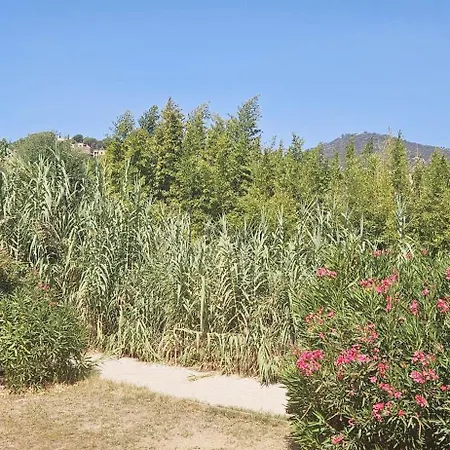 Familiale Surequipee 16p Piscine Babyfoot Billard Boulodrome * Le Lavandou